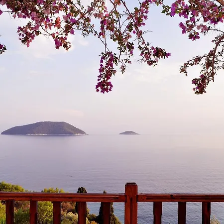 ネメシス アパート *