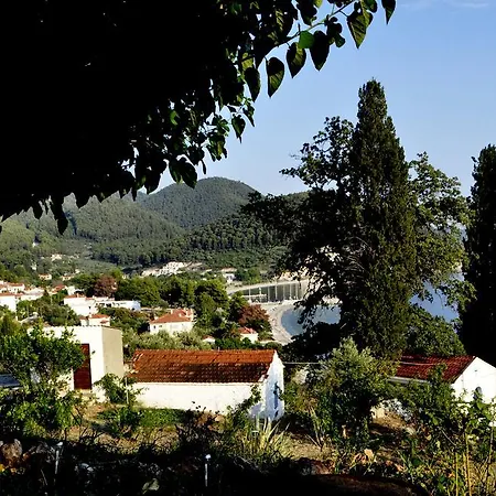 ネメシス アパート