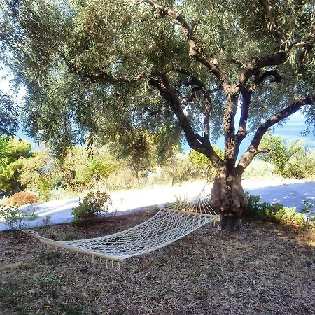 ネメシス ネオ・キリマ