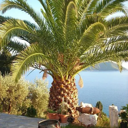 アパート ネメシス ネオ・キリマ