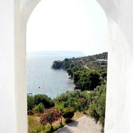 ネメシス ネオ・キリマ