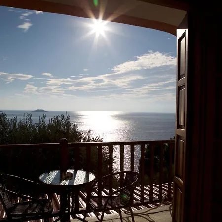 ネメシス * ネオ・キリマ