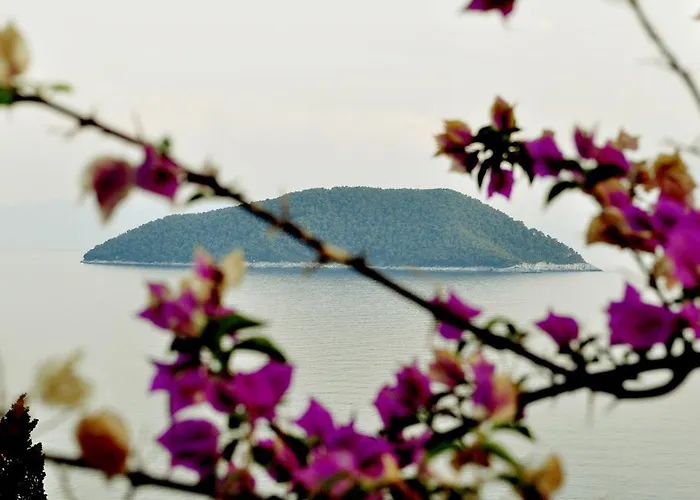 Nemesis Appartement Neo Klima